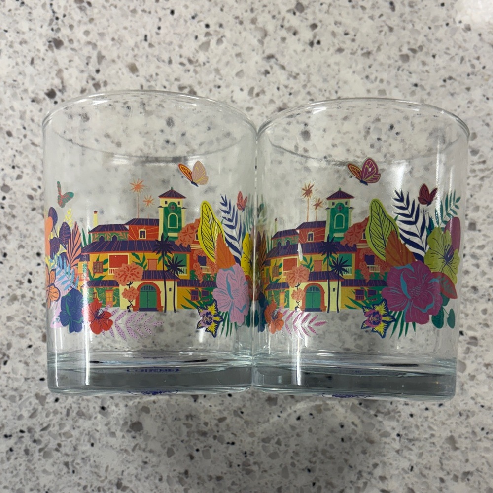 Disney Encanto Floral and Building Design Glasses, Set of 2